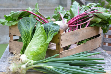 Le Bretagne Nort sur Erdre Restaurant LORIN