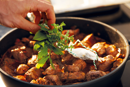 au jardin de Montblanc