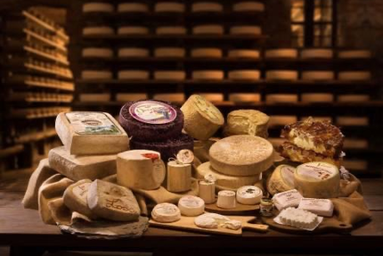 Gustotini Trattoria restaurant