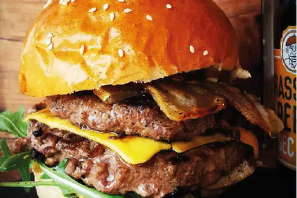 Mr Vagabond Bourgbarre