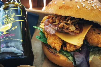 Mr Vagabond Bourgbarre