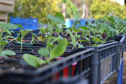 Le Bistrot du Village Emmaüs Lescar Pau