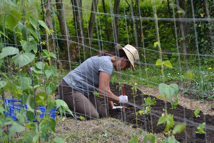 Le Bistrot du Village Emmaüs Lescar Pau