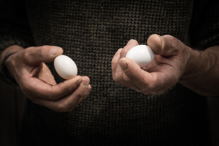 La Volière de mesquer