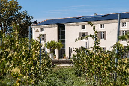 Vigna Restaurant Pizzeria