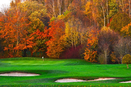 Brasserie l’Appétit
