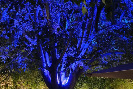 Midi à l'ombre