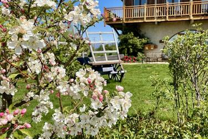 Restaurant Les Alisiers Montclar