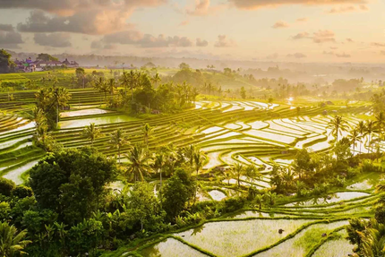 Restaurant Sandikala