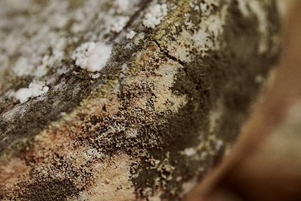 CIBO restaurant gastronomique à Dijon