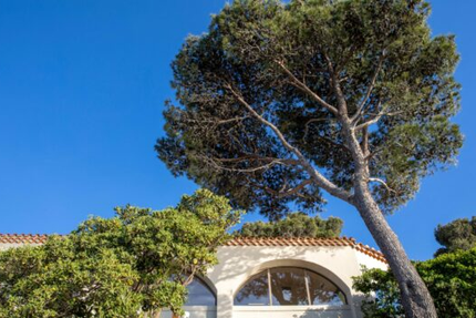 Mamma Collioure / Les Roches Brunes