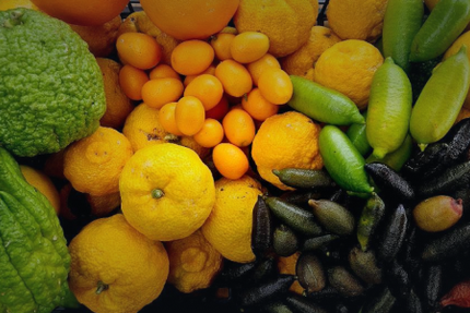 Nous'Ôtes - Table Privée