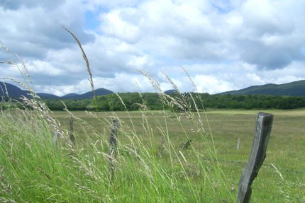 Au Chaudron Gourmand