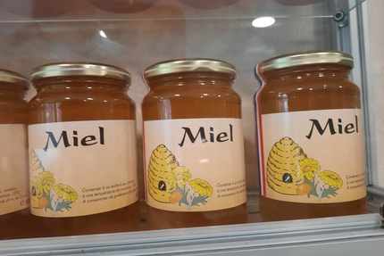 Esprit Passion Du Goût