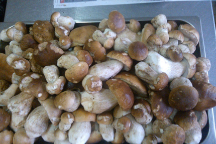 Logis Hôtel Restaurant les Cévennes