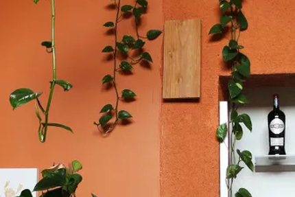 Le Clos - Restaurant Gémenos