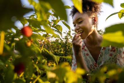 Les Jardins Sauvages