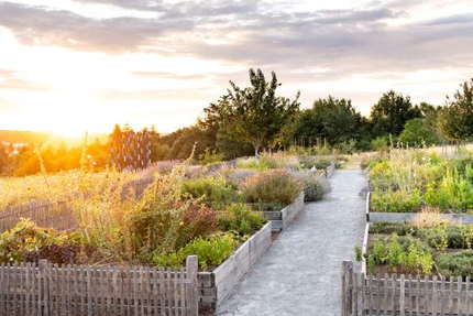 Les Jardins Sauvages