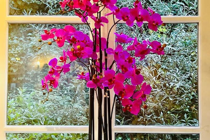 Le Jardin Saint-Germain