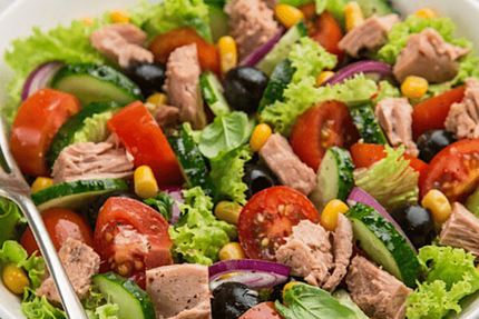 PLAZA PIZZA pizzeria claye souilly