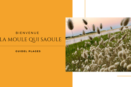 la moule qui saoule
