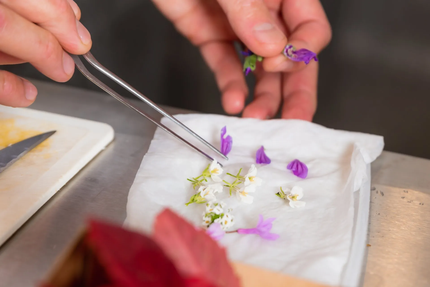 Couleurs de Shimatani