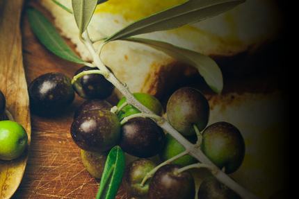 Le Vin et un Plat (21plat) - Tassin