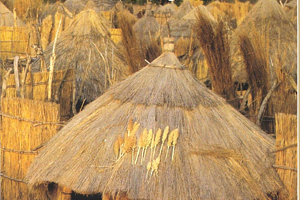 Restaurant Godjo