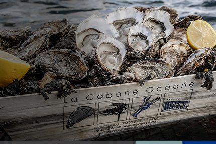 La Cabane Océane : La Production