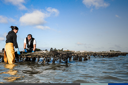 La Cabane Océane : La Production