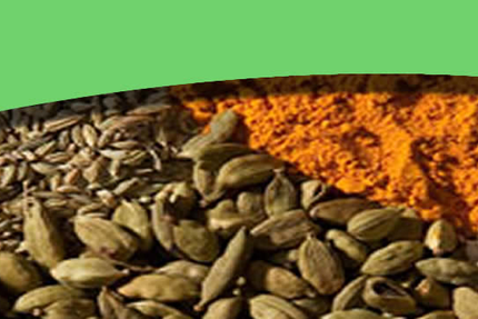 Restaurant Indien GREEN CHILI