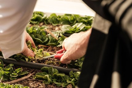 Restaurant l'Aupiho - Domaine de Manville