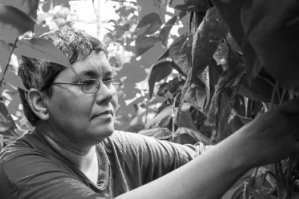 esatco 85 Site de La Guyonnière