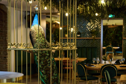 Bar - Restaurant Maison Paon Pau