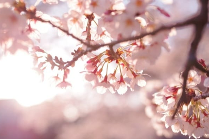 Nommad's - Bistro à Bourdeilles