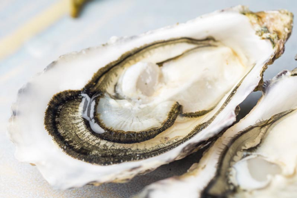 Huitres Chaumard, vente au détail (ouvert) bar à Huitres (fermé)