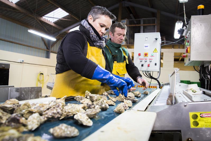 Huitres Chaumard, vente au détail (ouvert) bar à Huitres (fermé)