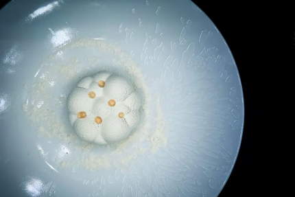 Restaurant Quai d'en Face & Quai d’Après