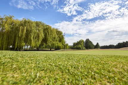 Restaurant/ Bar du Golf Bluegreen Villlennes