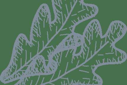 Auguste Pizza Millau | Pizzeria Artisanale | Restaurant Local | Circuits courts