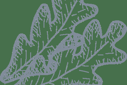 Pizza Quercy CAUSSADE Croq'2 dents