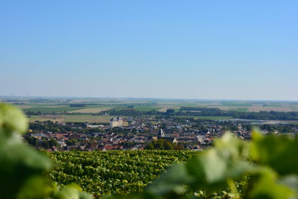 Restaurant Terre de craie