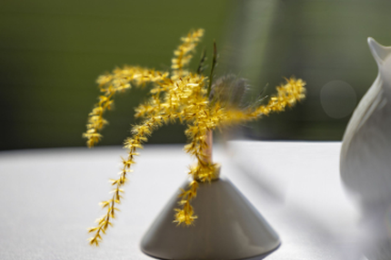 Restaurant Les Morainières