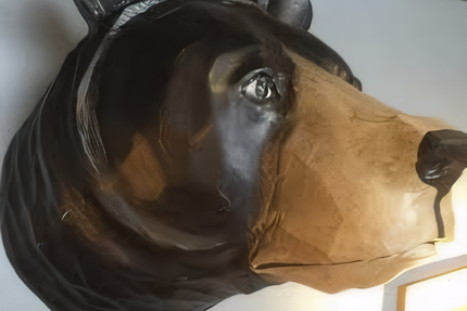 Le Ch'ti Charivari Arras