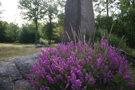 Restaurant Les Mégalithes