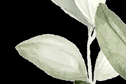 Origines Restaurant Lyon