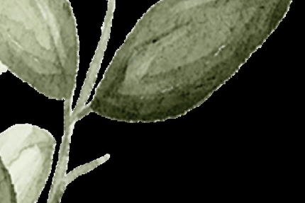 Origines Restaurant Lyon