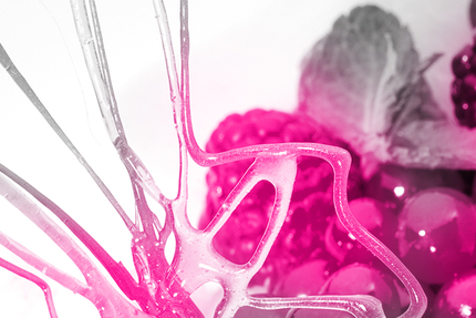 Restaurant Le Coucou