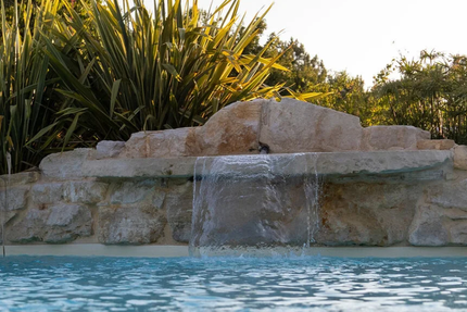 Un Canard Sous L Olivier