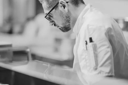 Un Canard Sous L Olivier